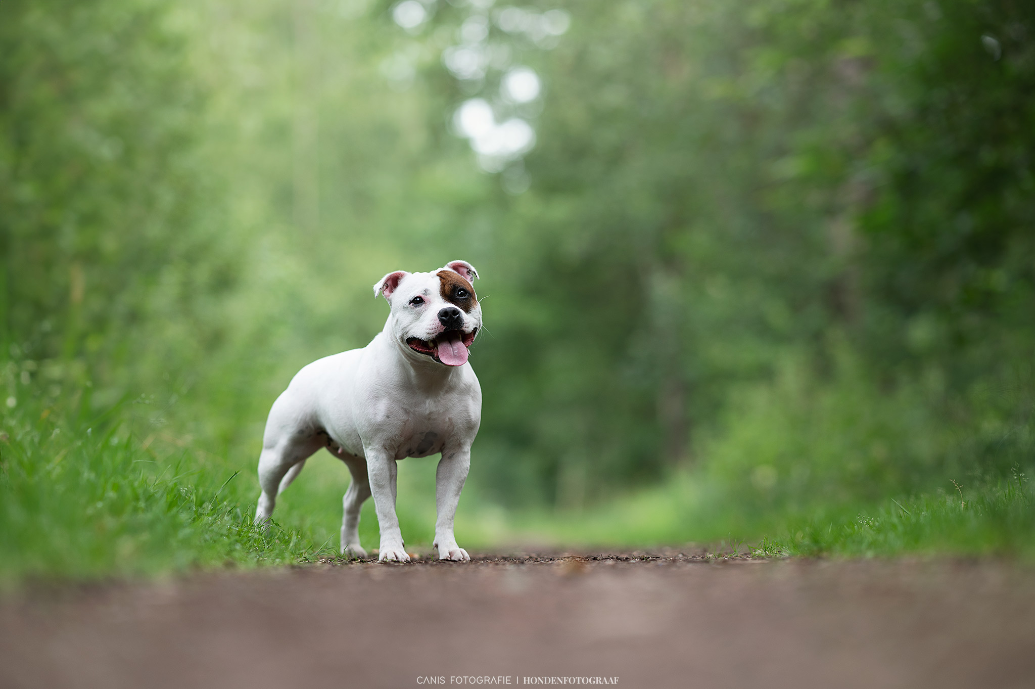 DSC_4548-web
