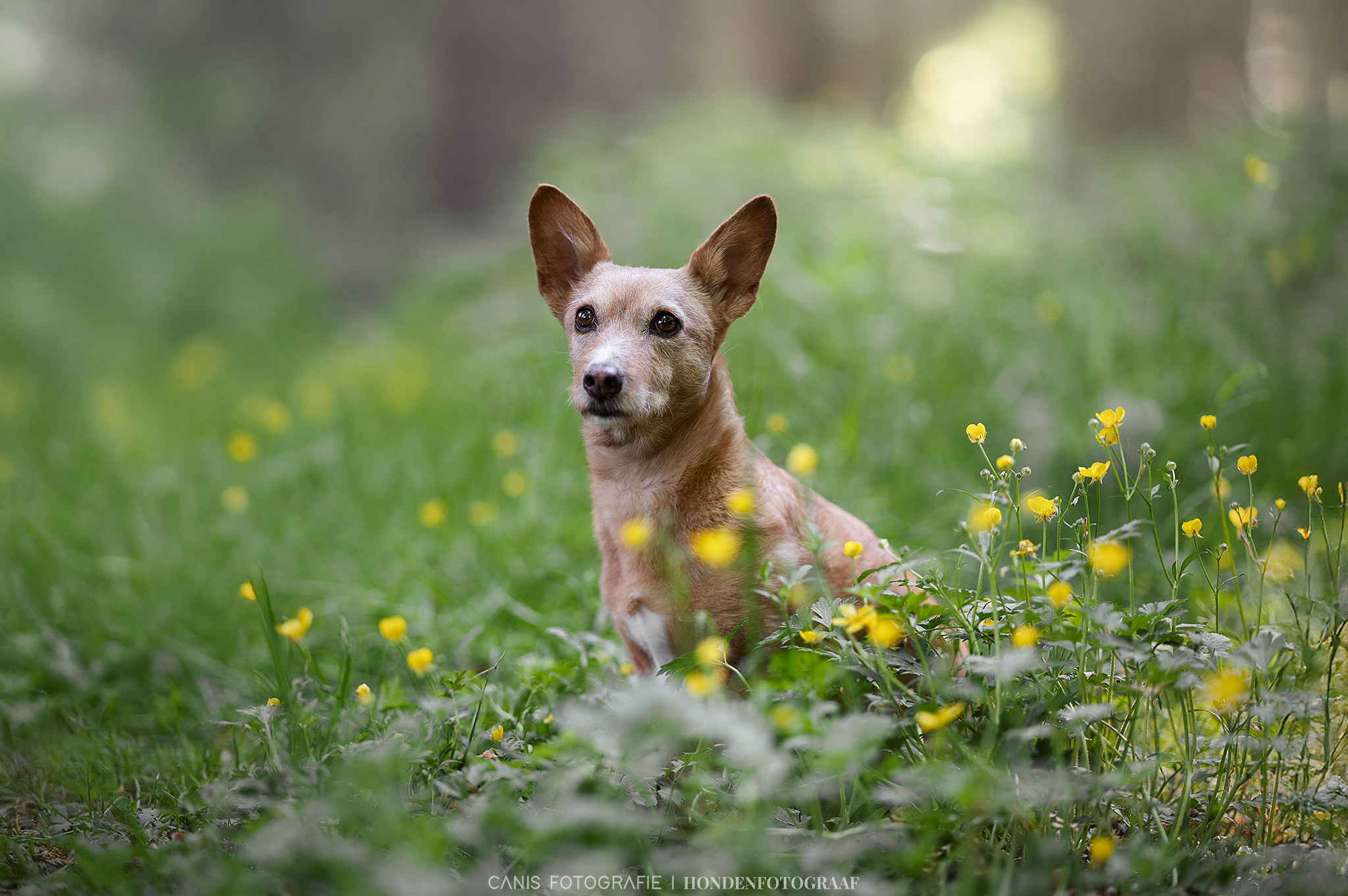 DSC_2816-web